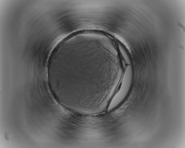 X0000095550935200801111450