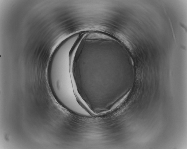 X0000095550936200801111450