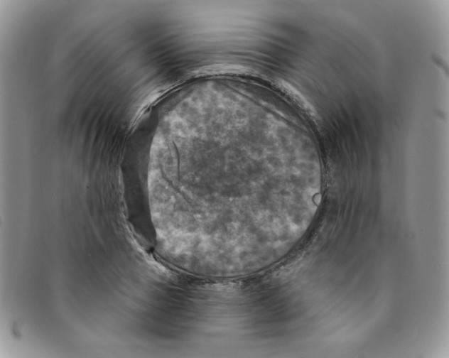 X0000095550937200801111451