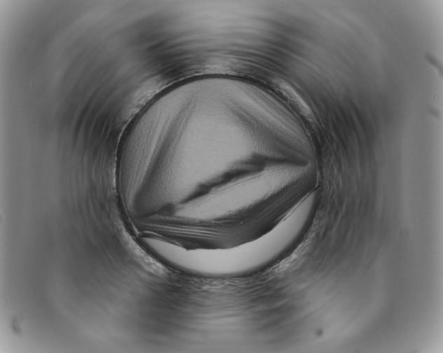 X0000095550938200801111451