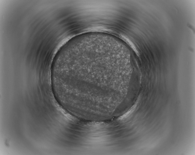 X0000095550939200801111451