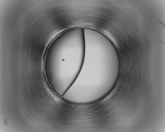 X0000095550940200801111451