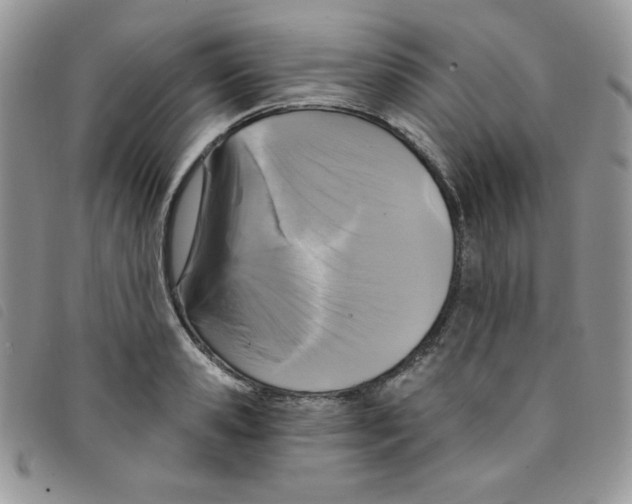 X0000095550941200801111451