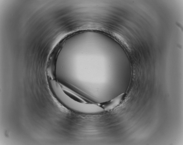 X0000095550942200801111451