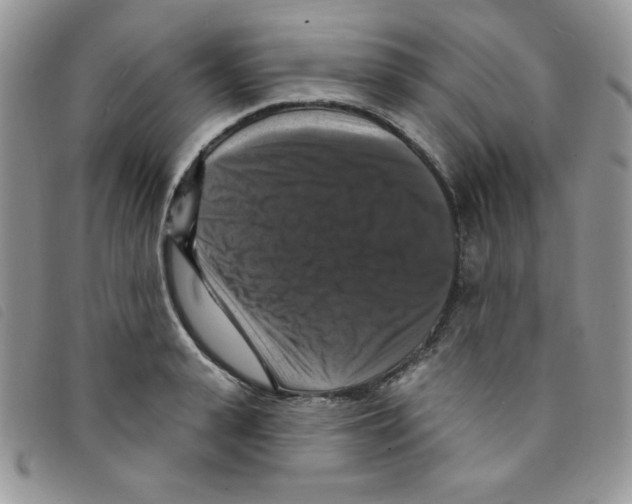 X0000095550943200801111451