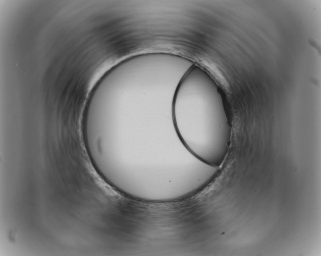 X0000095550944200801111451