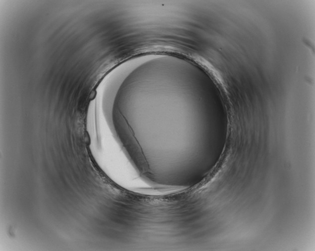 X0000095550945200801111451