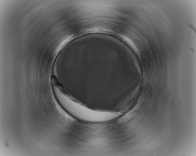 X0000095550946200801111451