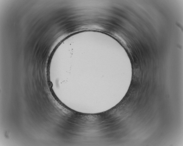 X0000095550947200801111451