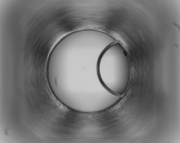 X0000095550948200801111451