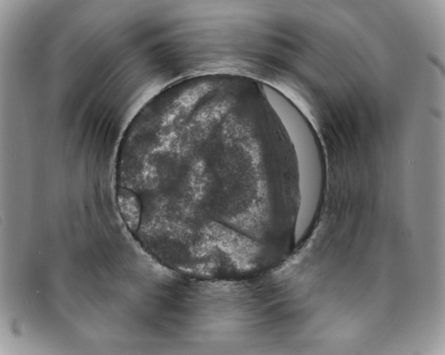 X0000095550949200801111451