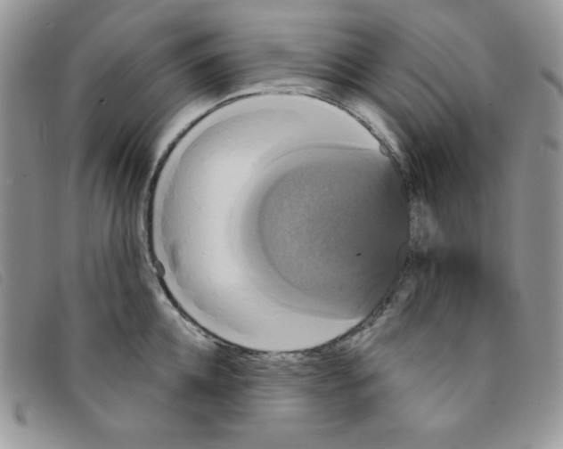 X0000095550952200801111451