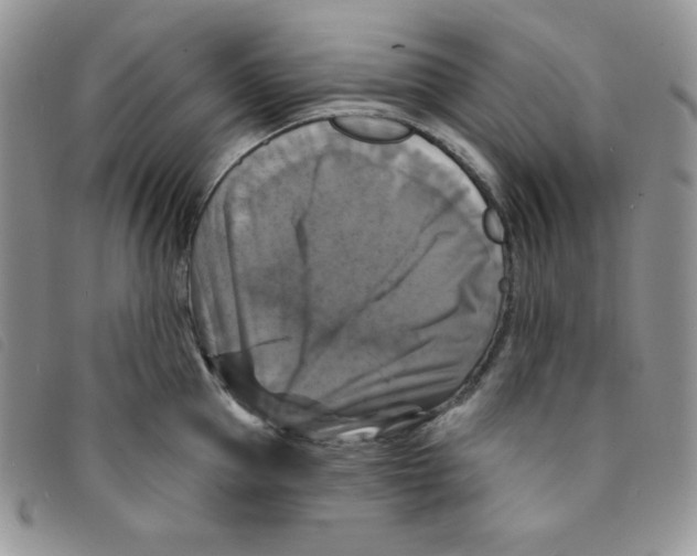 X0000095550953200801111451