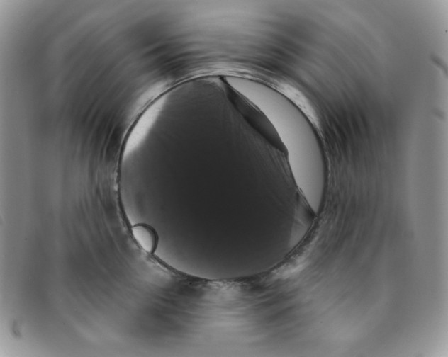 X0000095550954200801111451