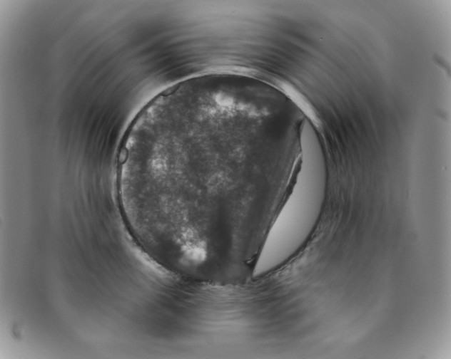 X0000095550955200801111451