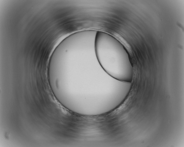 X0000095550956200801111451