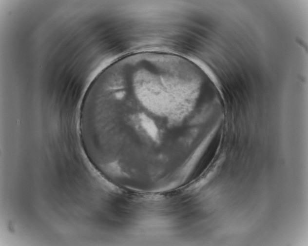 X0000095550957200801111451