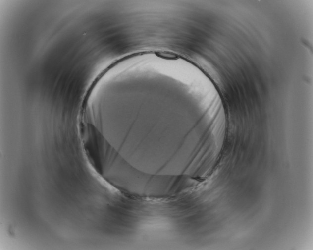 X0000095550958200801111451