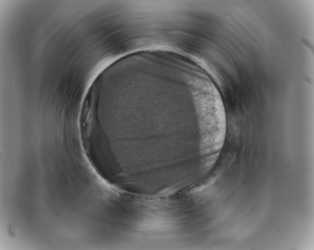 X0000095550959200801111451