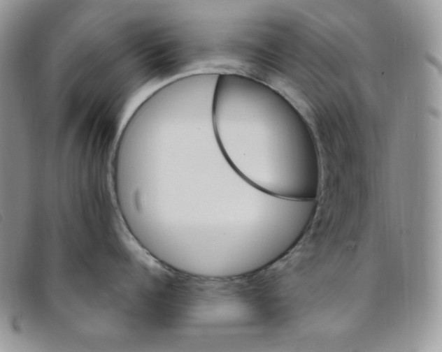 X0000095550960200801111451