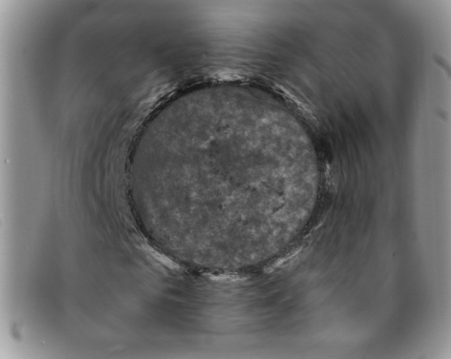 X0000095550961200801111450