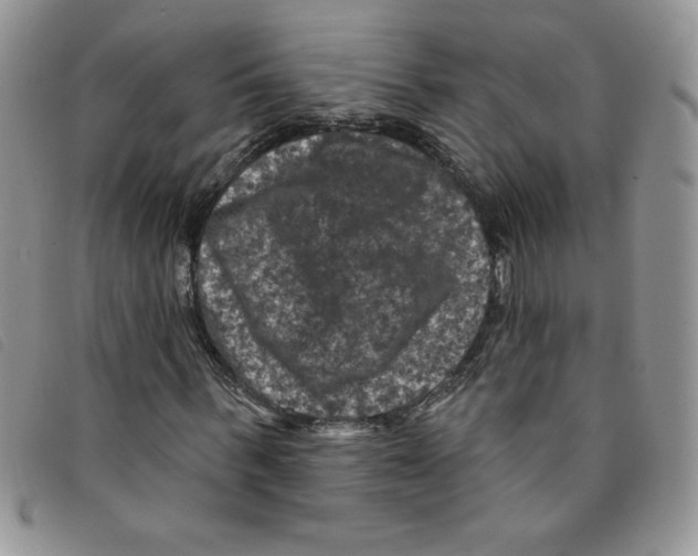 X0000095550963200801111450