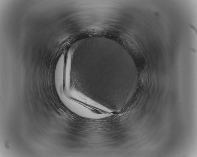 X0000095550964200801111450