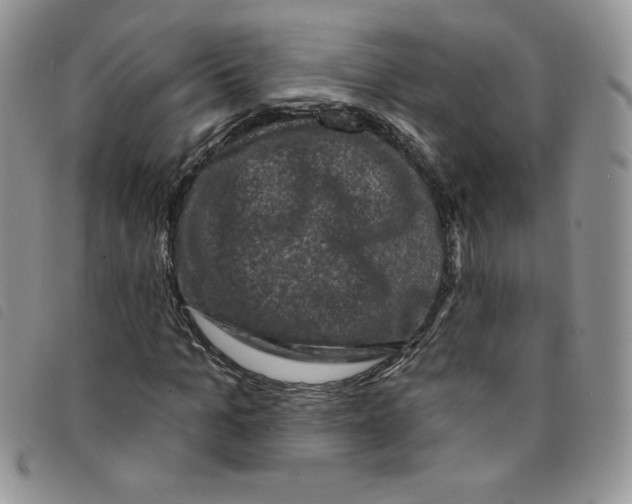 X0000095550965200801111450