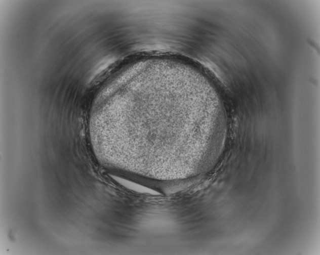 X0000095550967200801111450