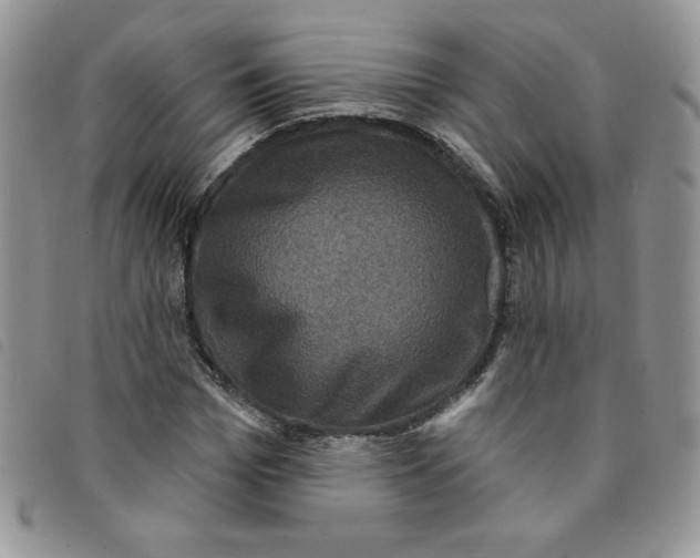 X0000095550969200801111450