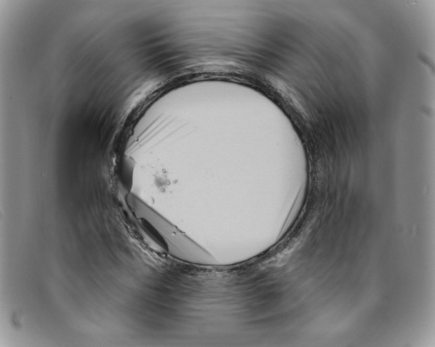 X0000095550970200801111450