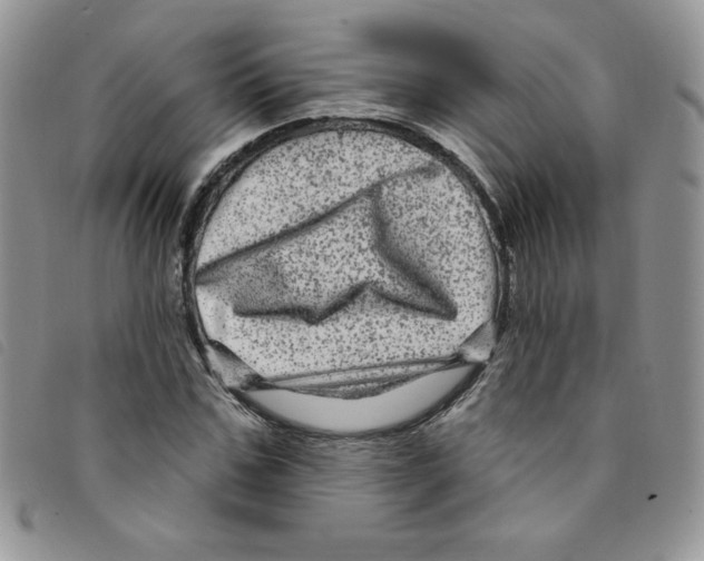 X0000095550971200801111450