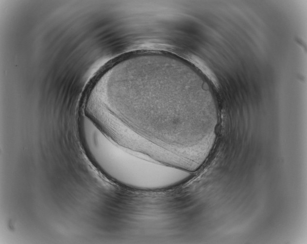 X0000095550972200801111450