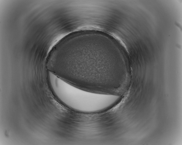 X0000095550973200801111450