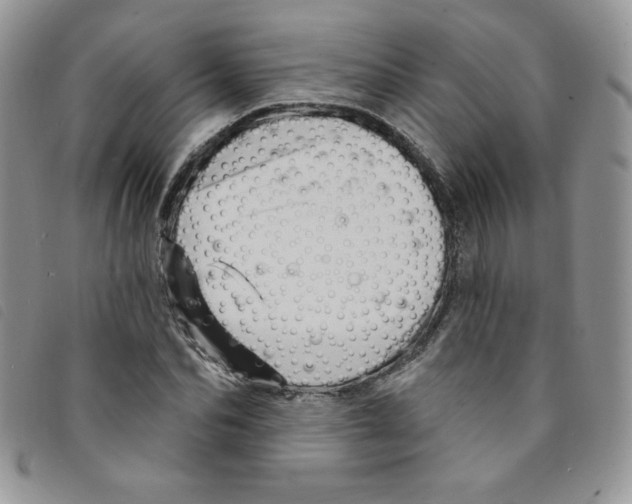 X0000095550974200801111450