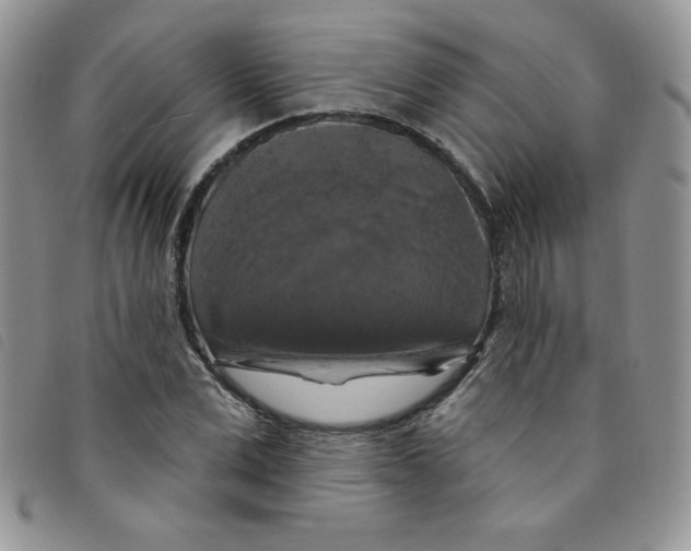 X0000095550975200801111450