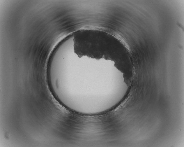 X0000095550976200801111450