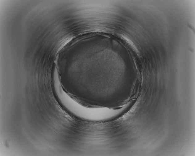 X0000095550977200801111450