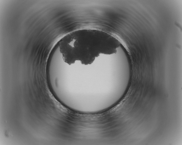 X0000095550980200801111450