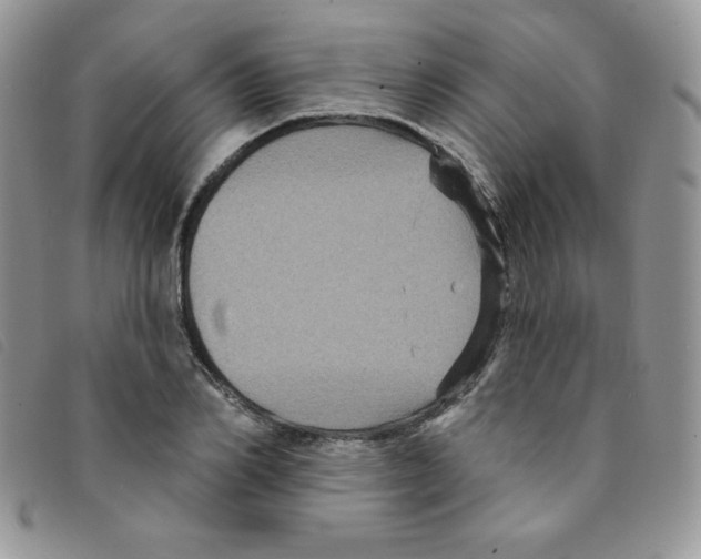 X0000095550982200801111450