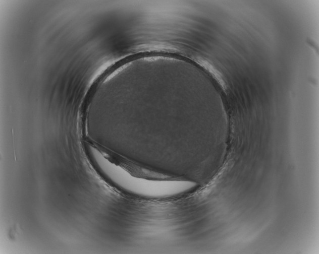 X0000095550983200801111450