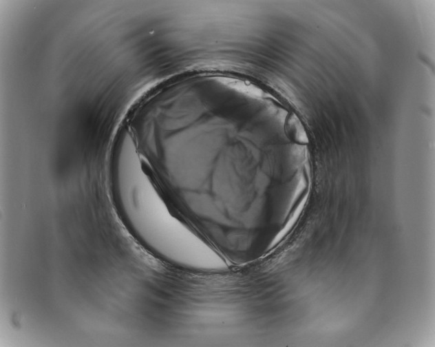 X0000095550984200801111450