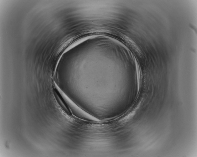 X0000095550985200801111450