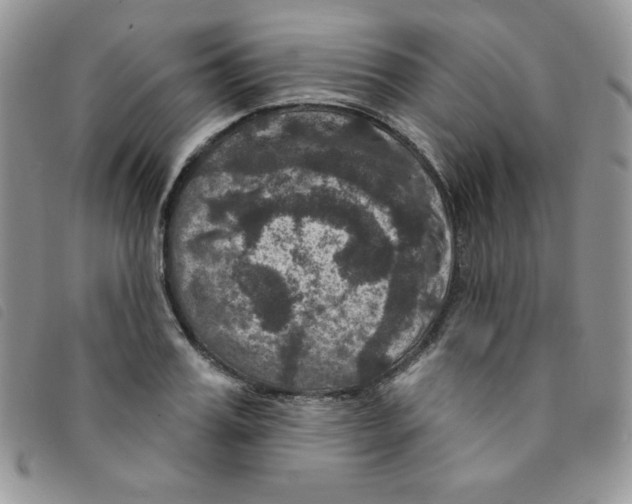 X0000095550987200801111450