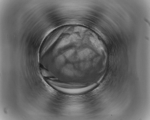 X0000095550988200801111450