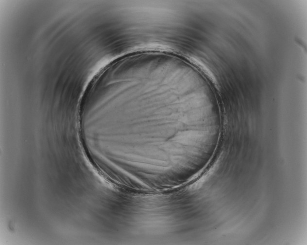 X0000095550989200801111450