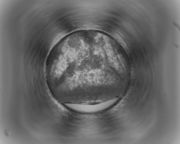 X0000095550990200801111450