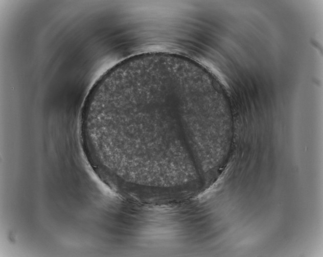 X0000095550991200801111450