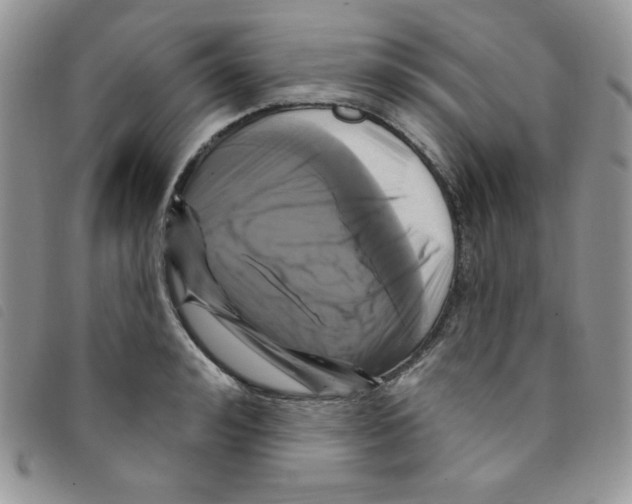 X0000095550992200801111450