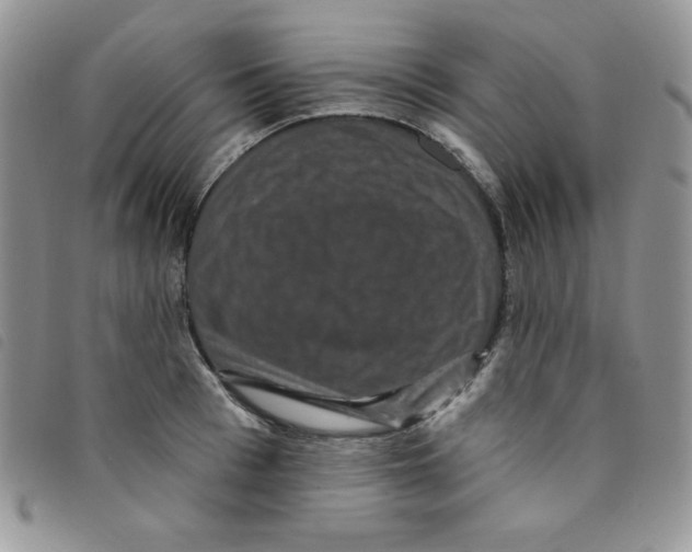 X0000095550993200801111450